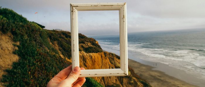 pine watt 3 xwxya43he unsplash scaled 1 pine watt 3 xwxya43he unsplash scaled 1
